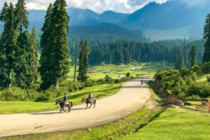cab for 5 days in kashmir