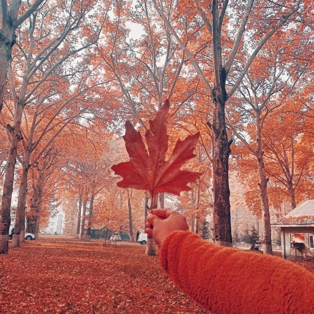 autumn in kashmir