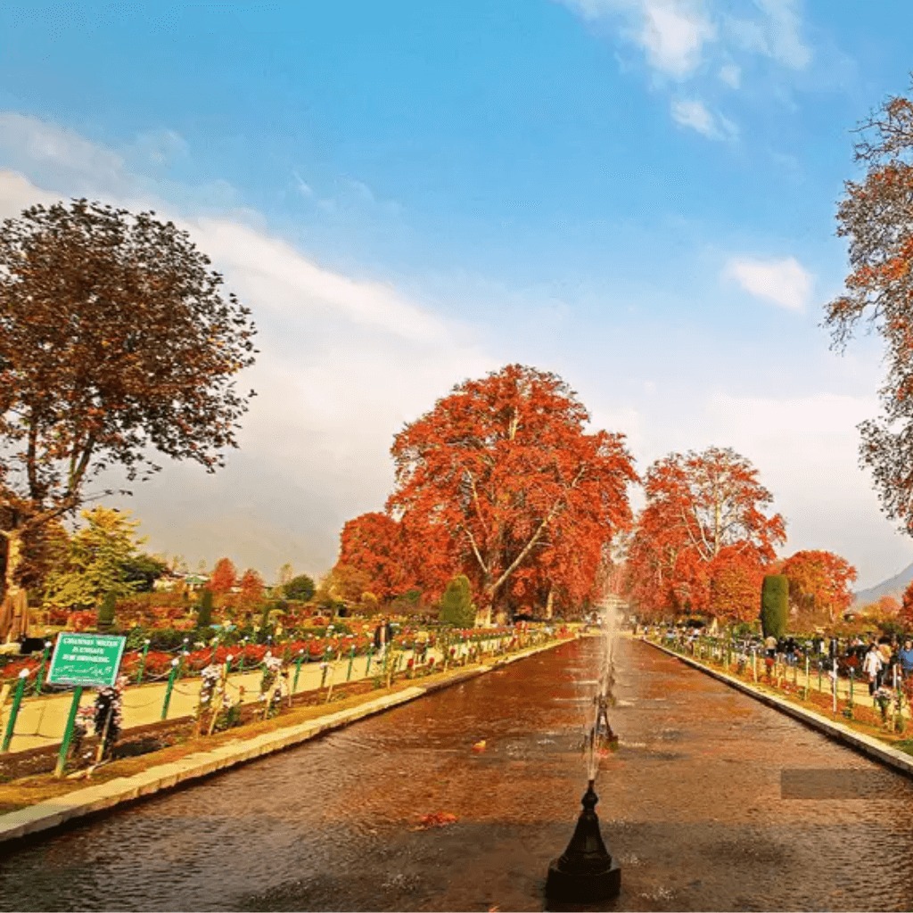 nishat bagh