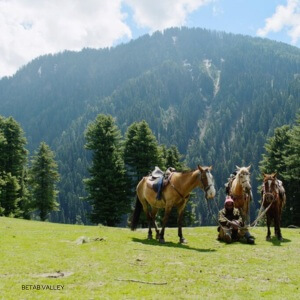 betaab valley