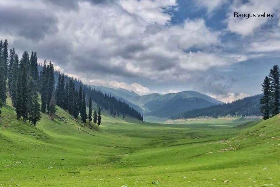 bangus valley