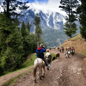 pony ride in pahalgam