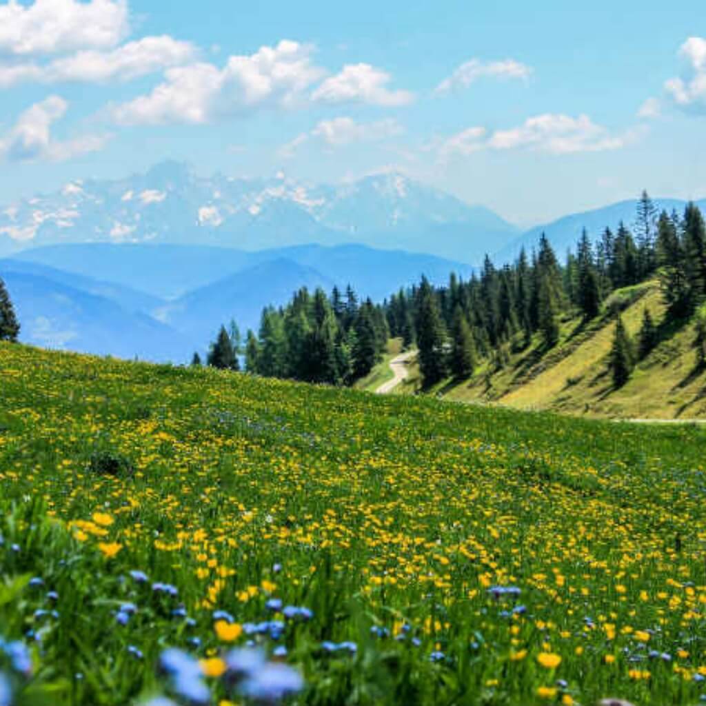 gulmarg