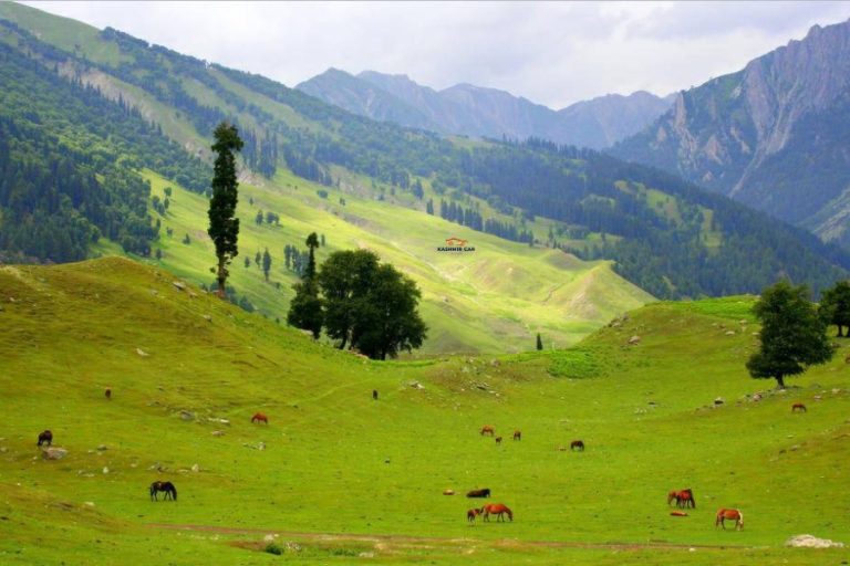 Sonamarg IN OCTOBER