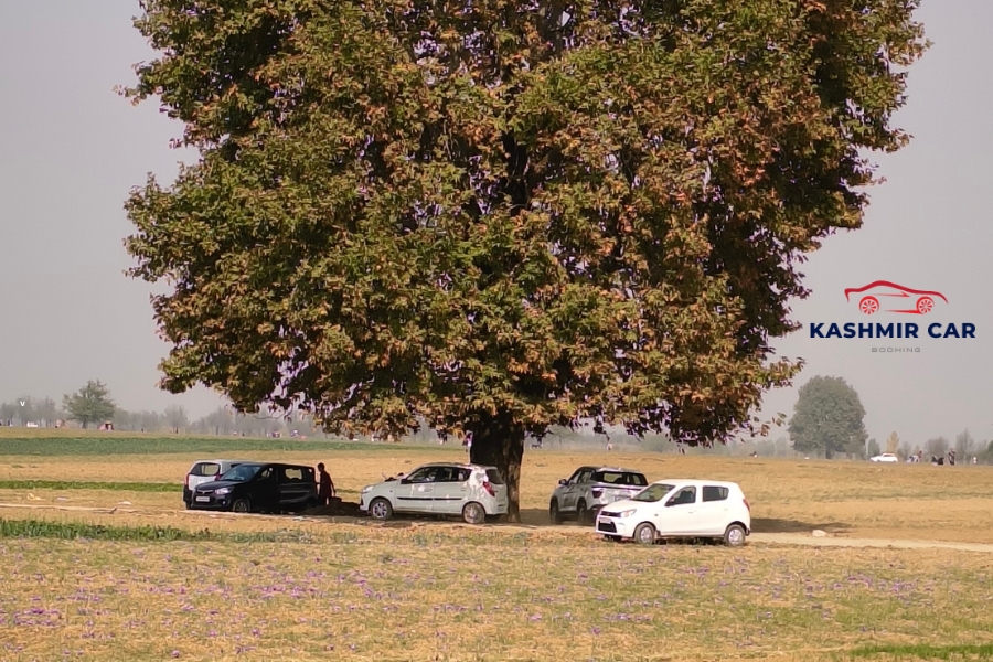 Cab Service In Kashmir 