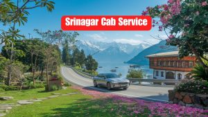 Srinagar cab service