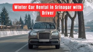 Winter Car Rental In Srinagar With Driver