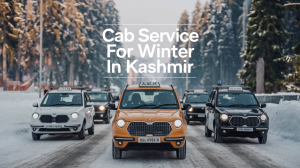 cab service in srinagar