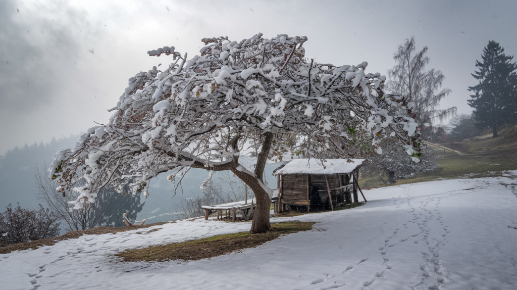 best time to visit kashmir for snowfall