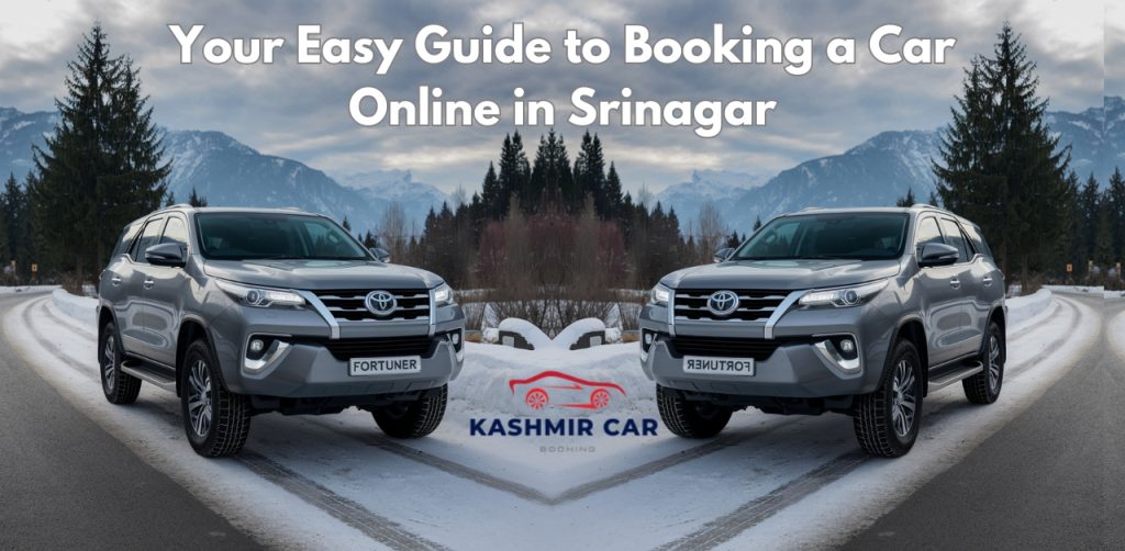 Booking a Car Online