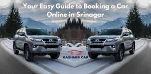 Booking a Car Online