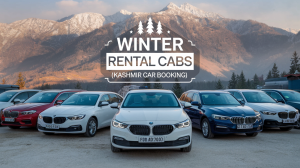 1 day car rental price