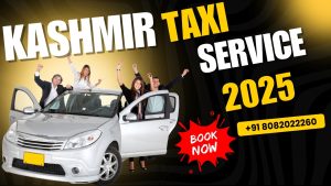 Kashmir taxi service