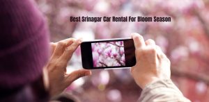 Best Srinagar Car Rental For Bloom Season