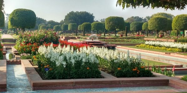 Explore Mughal Gardens