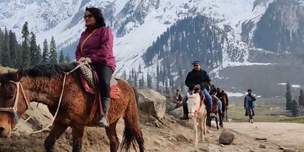 _Pony Ride to Thajiwas Glacier